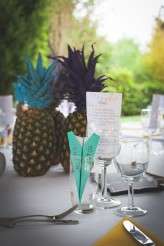 Picnic Party Sam Gary Wedding 1