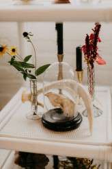 [www.jillianbowes.com]