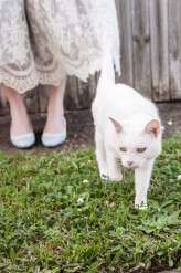 Vintage-Nautical-Cat-Wedding_Millyjane-Photography (28)