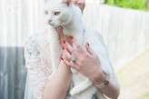 Vintage-Nautical-Cat-Wedding_Millyjane-Photography (30)