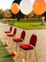 autumnal halloween wedding at a botanical gardens (2)