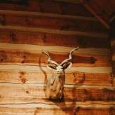 modern rustic wedding (56)