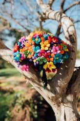 Caitlin McWeeney Photography 2015