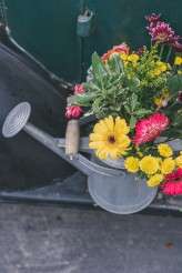 MelissaPhillipWedding-002-Color-PlumJamPhotography