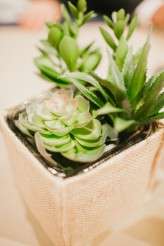 Vintage Inspired Pittsburgh Wedding Submission (52)