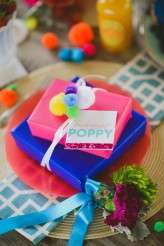 A Colourful Pom Pom Extravaganza (30)