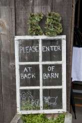 Cowichan Valley farm wedding (13)