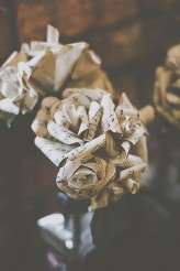 James Melia Photographer | www.jamesmelia.com