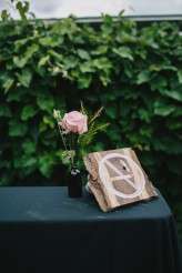 Retro Inspired Backyard & Amusement Park Wedding (19)