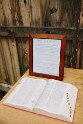 Retro Inspired Backyard & Amusement Park Wedding (3)