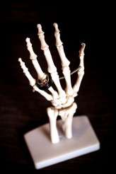 Skull Themed Wedding on Hallloween (1)