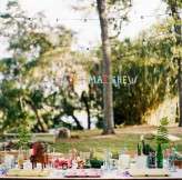 Tenth anniversary party on a marsh (12)