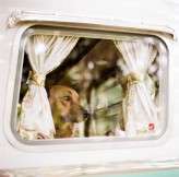 Tenth anniversary party on a marsh (32)