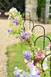 Unicorn Downs Syndrome Wedding via rocknrollbride (16)