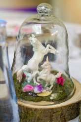 batman, star wars, birds, nature, unicorns, mermaids and sparkly stuff (30)