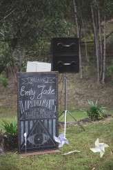 carnival of love wedding (4)