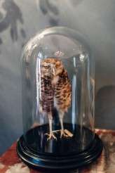 fantasty literature fairytale wedding (3)