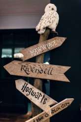 fantasty literature fairytale wedding (7)