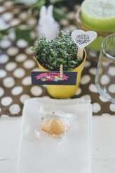 Cape Town Durbanville Rondekuil Jacques Emma Wedding YeahYeah Ph