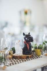 YeahYeah Photography Jacques Emma Wedding Cape Town Rondekuil Du