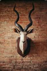 Halloween Wedding_C&G Weddings-378