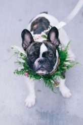 View More: http://twentytwentystudios.pass.us/julieandbryce