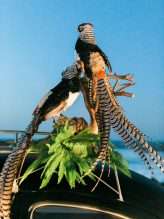 big sur elopement GABY J (55)