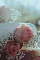 eco-friendly-wedding-in-slovenia-30