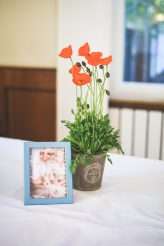 View More: http://elegantphotography.pass.us/raab