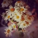 the-500-wedding-planned-in-seven-days-28