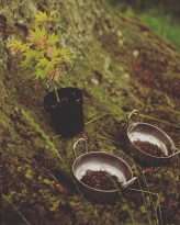 the-500-wedding-planned-in-seven-days-9