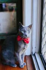 VintageZooWedding-DijanaRisteskaPhotography-149