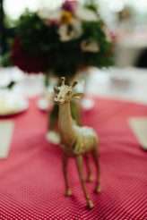 VintageZooWedding-DijanaRisteskaPhotography-716