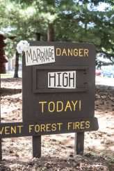 1950s-retro-tropical-kitsch-wedding-9