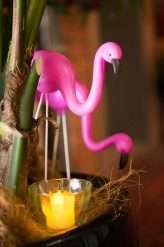 tropical-tiki-bar-wedding-72