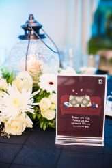 unconventionally-geeky-wedding-34