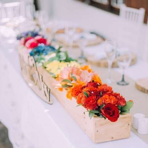 rainbow-wedding-in-south-africa-37