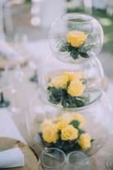 rainbow-wedding-in-south-africa-42