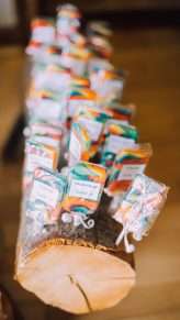 rainbow-wedding-in-south-africa-5