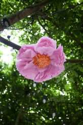 married-by-batman-in-a-kitschy-1950s-comics-collectables-wedding-27