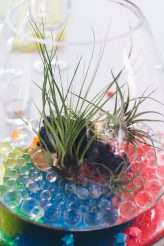 rainbow-wedding_portland-oregon-wedding-photogrpahy-sentiero-photography-34