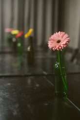 casual-and-boho-sao-paulo-wedding-8