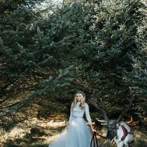 festive-farm-wedding-with-reindeer-2