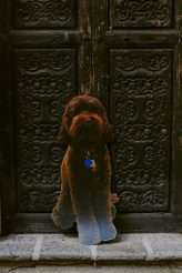 frida-kahlo-inspired-wedding-in-mexico-39