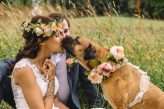 _italian-english-wedding-with-a-puppy-ring-bearer_emily-and-steve-photography-56