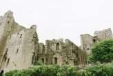 medieval-castle-wedding-with-owls-faeries-spray-painted-animals-4