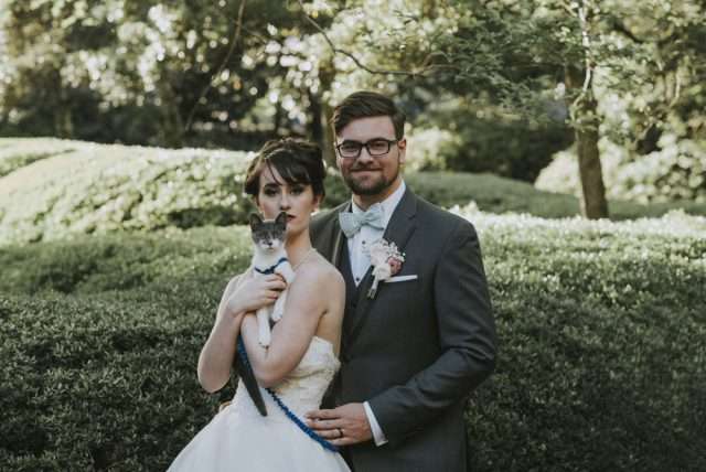 movie-themed-wedding-with-a-kitty-ring-bearer-22-640x428