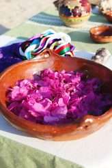 vibrantmexicoshoot-_dekkerphotography_025