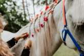 Bohemian Fairytale Dream Wedding with Horses (5)