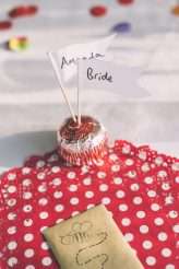 festival-wedding-with-roald-dahl-and-a-tardis-28